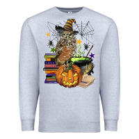 Heather Grey halloween owl Premium Sweatshirt - BarkalooDesign