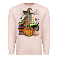 Pale Pink halloween owl Premium Sweatshirt - BarkalooDesign