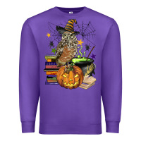 Purple halloween owl Premium Sweatshirt - BarkalooDesign