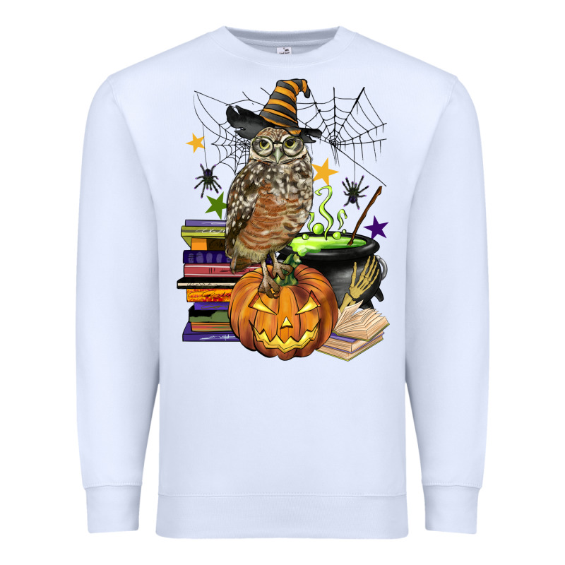 Halloween Owl Premium Sweatshirt by BarkalooDesign | Teevron