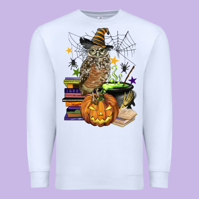 Halloween Owl Premium Sweatshirt Designed By Barkaloodesign
