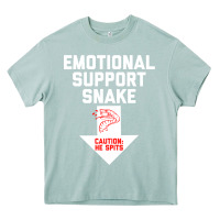 Arona Mens Crude Humor Inappropriate Emotional Support Snake Halloween Heavy Core Tee - trangStudio