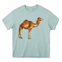 Arona camel Heavy Core Tee - BarkalooDesign
