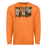 Carrot Christmas alpacas Premium Sweatshirt - BarkalooDesign