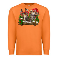 Carrot Christmas donkeys Premium Sweatshirt - BarkalooDesign