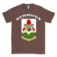 Chestnut Bermuda Coat of Arms Souvenir Gift Flag Bermudian Classic Tee - trangStudio