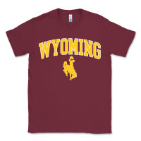 Burgundy Kids Wyoming Cowboys Apparel Fan Favorite Brown Arch Classic Tee - trangStudio