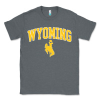 Charcoal Heather Kids Wyoming Cowboys Apparel Fan Favorite Brown Arch Classic Tee - trangStudio