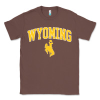 Kids Wyoming Cowboys Apparel Fan Favorite Brown Arch Classic Tee | Teevron