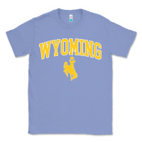 Colony Blue Kids Wyoming Cowboys Apparel Fan Favorite Brown Arch Classic Tee - trangStudio