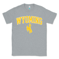 Heather Grey Kids Wyoming Cowboys Apparel Fan Favorite Brown Arch Classic Tee - trangStudio