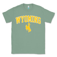 Sage Kids Wyoming Cowboys Apparel Fan Favorite Brown Arch Classic Tee - trangStudio