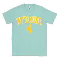 Seafoam Kids Wyoming Cowboys Apparel Fan Favorite Brown Arch Classic Tee - trangStudio