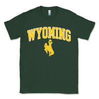 Sports Green Kids Wyoming Cowboys Apparel Fan Favorite Brown Arch Classic Tee - trangStudio