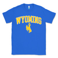 True Royal Kids Wyoming Cowboys Apparel Fan Favorite Brown Arch Classic Tee - trangStudio