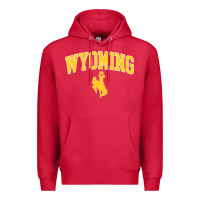Cardinal Kids Wyoming Cowboys Apparel Fan Favorite Brown Arch Premium Hoodie - trangStudio