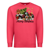 Cardinal merry christmas gnomes truck Premium Sweatshirt - BarkalooDesign