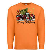 Carrot merry christmas gnomes truck Premium Sweatshirt - BarkalooDesign