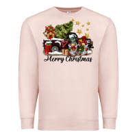 Pale Pink merry christmas gnomes truck Premium Sweatshirt - BarkalooDesign