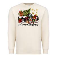 Sandshell merry christmas gnomes truck Premium Sweatshirt - BarkalooDesign