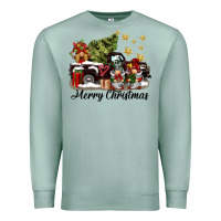 Seafoam merry christmas gnomes truck Premium Sweatshirt - BarkalooDesign