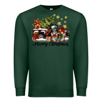 Sports Green merry christmas gnomes truck Premium Sweatshirt - BarkalooDesign
