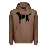 Chestnut Labrador Retriever Fetch, Black Lab Play Ball Premium Hoodie - trangStudio