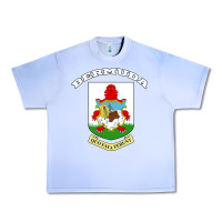 Grape Ice Bermuda Coat of Arms Souvenir Gift Flag Bermudian Urban Heavy Tee - trangStudio