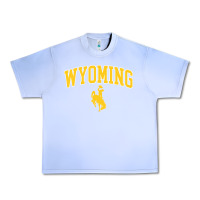 Grape Ice Kids Wyoming Cowboys Apparel Fan Favorite Brown Arch Urban Heavy Tee - trangStudio