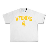 Lunar Rock Kids Wyoming Cowboys Apparel Fan Favorite Brown Arch Urban Heavy Tee - trangStudio