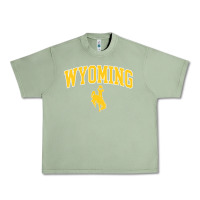 Oil Green Kids Wyoming Cowboys Apparel Fan Favorite Brown Arch Urban Heavy Tee - trangStudio