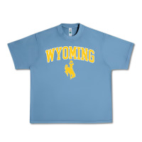 Pebble Blue Kids Wyoming Cowboys Apparel Fan Favorite Brown Arch Urban Heavy Tee - trangStudio