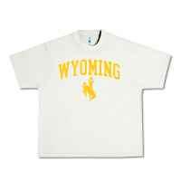 Pistachio Kids Wyoming Cowboys Apparel Fan Favorite Brown Arch Urban Heavy Tee - trangStudio