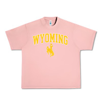 Salmon Kids Wyoming Cowboys Apparel Fan Favorite Brown Arch Urban Heavy Tee - trangStudio