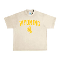 Sandshell Kids Wyoming Cowboys Apparel Fan Favorite Brown Arch Urban Heavy Tee - trangStudio