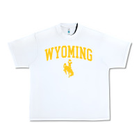 White Kids Wyoming Cowboys Apparel Fan Favorite Brown Arch Urban Heavy Tee - trangStudio