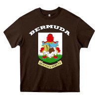 Chocolate Brown Bermuda Coat of Arms Souvenir Gift Flag Bermudian Heavy Core Tee - trangStudio