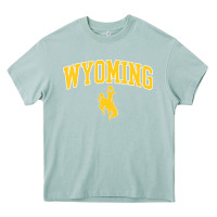 Arona Kids Wyoming Cowboys Apparel Fan Favorite Brown Arch Heavy Core Tee - trangStudio