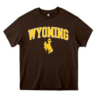 Chocolate Brown Kids Wyoming Cowboys Apparel Fan Favorite Brown Arch Heavy Core Tee - trangStudio