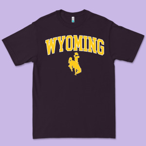 Kids Wyoming Cowboys Apparel Fan Favorite Brown Arch Premium Tee Designed By Trangstudio