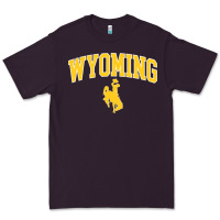 Plum Kids Wyoming Cowboys Apparel Fan Favorite Brown Arch Premium Tee - trangStudio