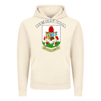 Vintage Artic Bermuda Coat of Arms Souvenir Gift Flag Bermudian Vintage Hoodie - trangStudio