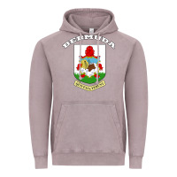 Vintage Zinc Bermuda Coat of Arms Souvenir Gift Flag Bermudian Vintage Hoodie - trangStudio