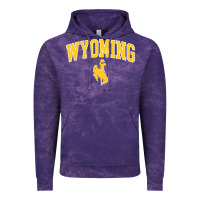 Cloud Purple Kids Wyoming Cowboys Apparel Fan Favorite Brown Arch Vintage Hoodie - trangStudio