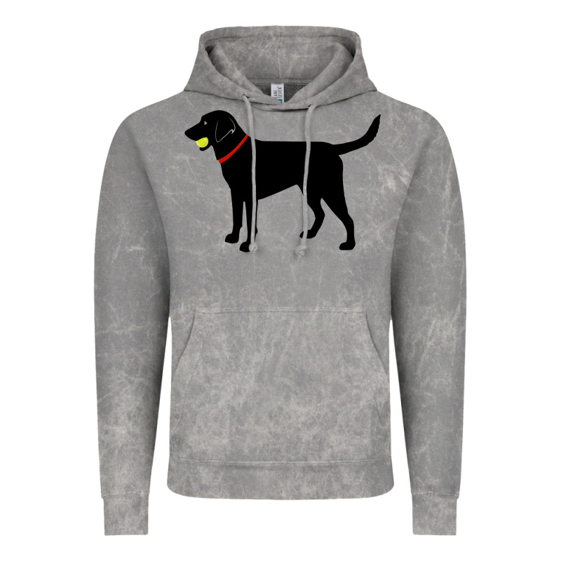 Labrador Retriever Fetch, Black Lab Play Ball Vintage Hoodie by trangStudio | Teevron