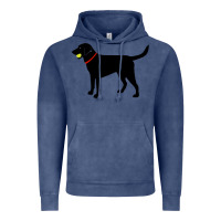 Vintage Denim Labrador Retriever Fetch, Black Lab Play Ball Vintage Hoodie - trangStudio