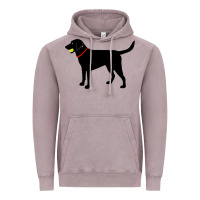 Vintage Zinc Labrador Retriever Fetch, Black Lab Play Ball Vintage Hoodie - trangStudio