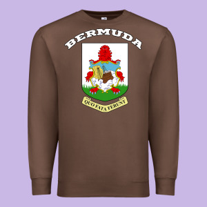 Bermuda Coat Of Arms Souvenir Gift Flag Bermudian Premium Sweatshirt Designed By Trangstudio