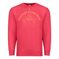 Cardinal Protect Trans Kids Premium Sweatshirt - trangStudio