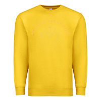 Lemon Protect Trans Kids Premium Sweatshirt - trangStudio